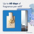 thumbnail image 4 of Glade PlugIns Scented Oil, Clean Linen, 1 Warmer + 9 Refills, 4 of 10