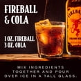 thumbnail image 5 of Fireball Cinnamon Malt Beverage, 50 ml bottle, 10 pk., 5 of 5