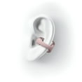 thumbnail image 5 of Shokz OpenDots ONE Open-Ear True Wireless Earbuds, 5 of 7