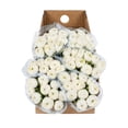 thumbnail image 6 of Ranunculus, 60 stems, choose color, 6 of 6