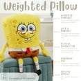 thumbnail image 4 of Weighted 3lb. Licensed Character Plush Pillow, 4 of 8