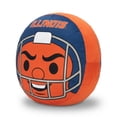 thumbnail image 3 of Logo Brands Illinois Fighting Illini Puff Pillow, 3 of 5