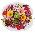 thumbnail image 6 of Member's Mark Jumbo Premium Bouquet, color and variety may vary, 6 of 9