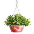 thumbnail image 3 of Member's Mark 14'' Hanging Flower Pot with Stainless Steel Chain, 3 of 3