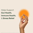 thumbnail image 5 of Om Mushrooms Master Blend, Organic Mushroom Supplements, 195 CT, 5 of 7