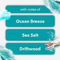 thumbnail image 6 of Glade PlugIns Scented Oil, Sky & Sea Salt with Coastal Sunshine Citrus, 1 Warmer + 9 Refills, 6 of 10