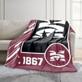 thumbnail image 2 of Logo Brands Morehouse Maroon Tigers 60"x70" Super Plush Blanket, 2 of 6
