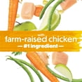 thumbnail image 8 of Purina Beneful Healthy Weight Chicken Recipe Dry Dog Food, 48 lbs., 8 of 13