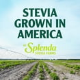 thumbnail image 7 of Splenda Naturals Stevia Sweetener Packets, 500 ct., 7 of 7