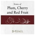 thumbnail image 2 of DaVinci Chianti Italian Red Blend Wine, 750 ml, 2 of 6