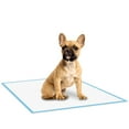 thumbnail image 4 of Four Paws Pet Select Dog Training & Puppy Pee-Pee Pads, 22" x 22" (100 ct.), 4 of 5