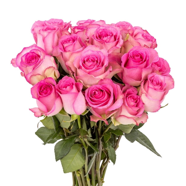 Member's Mark Roses, choose color variety and stem count