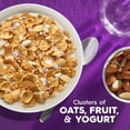 thumbnail image 6 of Special K Cereal, Fruit and Yogurt, 37 oz., 6 of 9