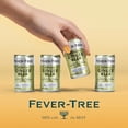 thumbnail image 6 of Fever-Tree Premium Ginger Beer, 150 ml can, 24 pk., 6 of 6