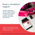 thumbnail image 6 of Youtheory Resveratrol+ with K2 + Beetroot Supplement Capsules, 150 ct., 6 of 8