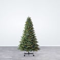 thumbnail image 21 of Evergreen Classics 7' to 9' Grow 'n Stow Fir Christmas Tree, 21 of 21