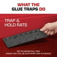 thumbnail image 5 of Tomcat Rat & Mouse Killer Disposable Station with Child & Dog Resistant Features, 5 of 10