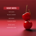 thumbnail image 4 of NatureWell Cherry Rouge Body & Hair Mist and Body Cream Kit, 4 of 8
