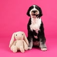 thumbnail image 4 of Jumbo Plush Bunny Dog Toy with TPR Ball & Rope, 4 of 5