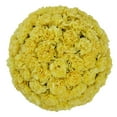 thumbnail image 1 of Member's Mark Carnations, Choose color and stem count, 1 of 5