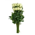 thumbnail image 5 of Member's Mark Ecuadorian Premium Roses, choose color variety and stem count, 5 of 9