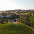thumbnail image 4 of Chalk Hill Sonoma Coast Chardonnay Wine, 750 ml, 4 of 9