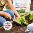 thumbnail image 5 of Organic Bulk Raised Bed Soil Pallet, 60/1 cu.ft. Bags, 5 of 9