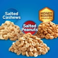 thumbnail image 5 of Planters Variety Pack Cashews & Peanuts, 24 pk., 5 of 7