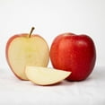 thumbnail image 3 of Organic Gala Apples, 5 lbs., 3 of 4