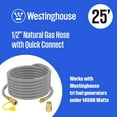 thumbnail image 2 of Westinghouse 15" or 25' Natural Gas Hose with Adapter, 1/2-Inch Diameter, For Westinghouse Tri Fuel Generators, 2 of 9