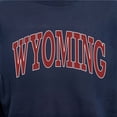thumbnail image 6 of State of Mine Varsity Arch State Fleece Sweatshirt, 6 of 7