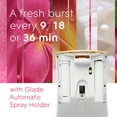 thumbnail image 4 of Glade Automatic Spray Air Freshener Refills, Hawaiian Breeze and  Exotic Tropical Blossoms, 4 ct., 4 of 8
