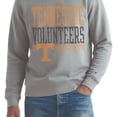 thumbnail image 4 of Champion NCAA Grey Crewneck Sweatshirt, 4 of 6