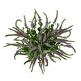 thumbnail image 1 of Member's Mark Veronica Flower, 100 stems, choose color, 1 of 4