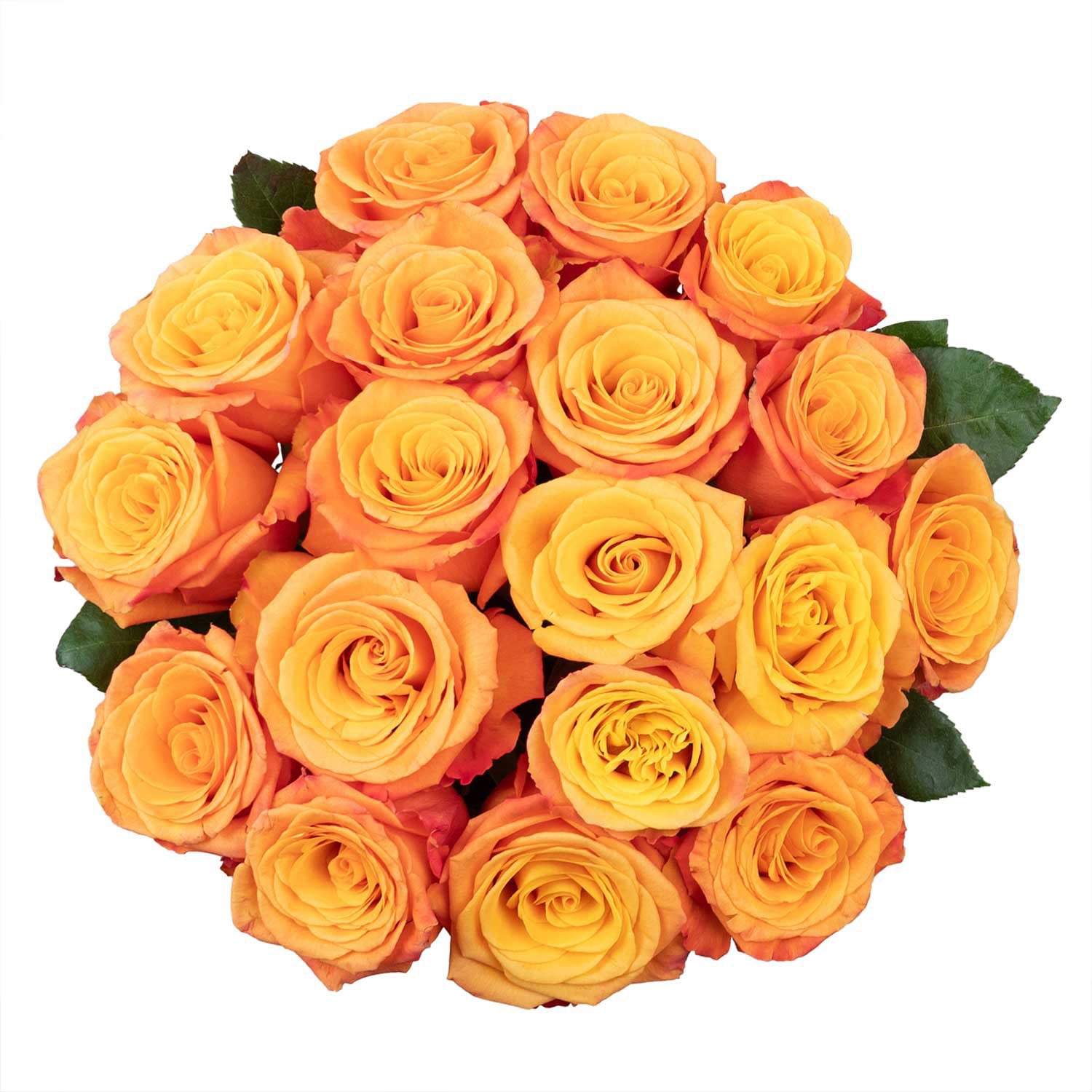 Member's Mark Premium Roses, 18 stems, choose color - Samsclub.com