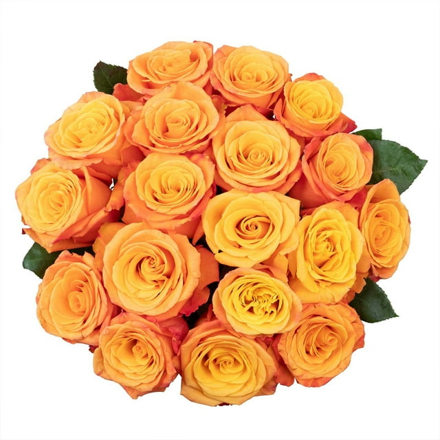 Member's Mark Premium Roses, 18 stems, choose color