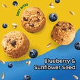 thumbnail image 3 of belVita Blueberry Energy Snack Bites, 1.12 oz., 20 pk., 3 of 14