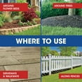 thumbnail image 5 of Roundup Weed and Grass Killer4 Club Bundle with Comfort Wand and 2 Refills, 5 of 10