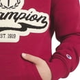 thumbnail image 4 of Champion Boys Hoodie, 4 of 7