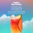 thumbnail image 3 of Malibu Coconut Rum with Pineapple Juice, 1.75 L, 3 of 5