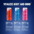 thumbnail image 2 of Red Bull Editions Variety Pack 8.4 fl. oz., 18 pk., 2 of 7