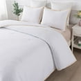 thumbnail image 2 of Feather & Loom Framed Down Alternative Comforter Set, Assorted Sizes, 2 of 7