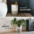 thumbnail image 3 of Dupray Air Purifier with Planter and Custom Walnut Accent Table Design, 3 of 11