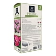 thumbnail image 2 of Member's Mark Double Peonies Sorbet & Emile Debatene Dormant Bulbs, 3pk, 2 of 10