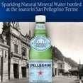 thumbnail image 4 of S.Pellegrino Sparkling Natural Mineral Water 16.9 fl. oz., 24 pk., 4 of 14