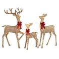 thumbnail image 2 of Member's Mark 3 Piece Pre-Lit Twinkling Deer Family, 2 of 6