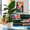 thumbnail image 4 of Costa Farms 10" Bird of Paradise Tropical Plant in Decorative Pot, 4 of 9