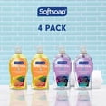 thumbnail image 5 of Softsoap Antibacterial Liquid Hand Soap, 11.25 fl. oz., 4 pk., 5 of 9