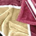 thumbnail image 6 of Logo Brands Florida State Seminoles 60"x70" Super Plush Blanket, 6 of 6