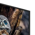 thumbnail image 6 of SAMSUNG 65” Class Q80D Series QLED Smart TV, 6 of 15
